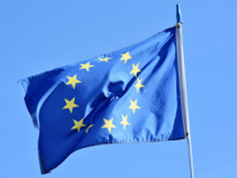 EU whistleblowers at risk unless changes made to draft directive!