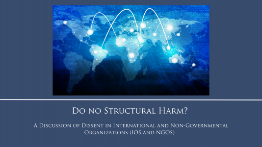 Do No Structural Harm? A Discussion of Dissent in International and NGOs